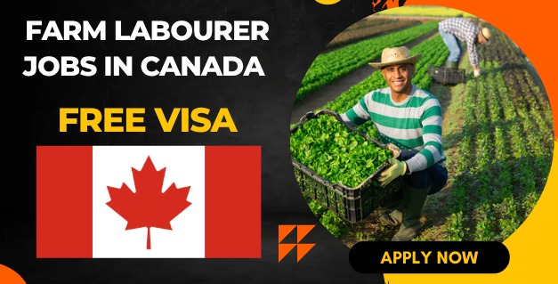 Farm Labourer Jobs in Canada with LMIA Visa Sponsorship
