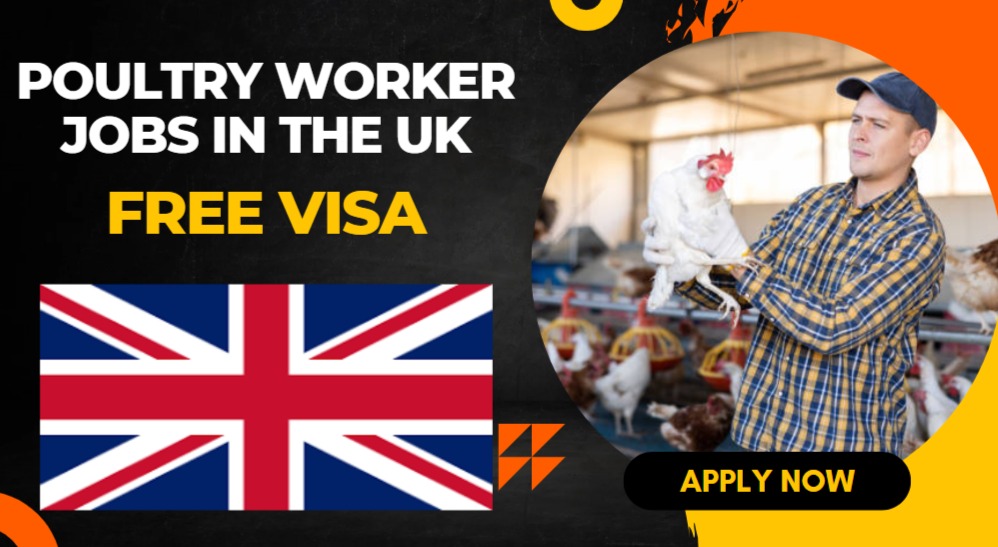 Warehouse Picker and Packer Jobs in the UK Warehouse Picker and Packer Jobs in the UK