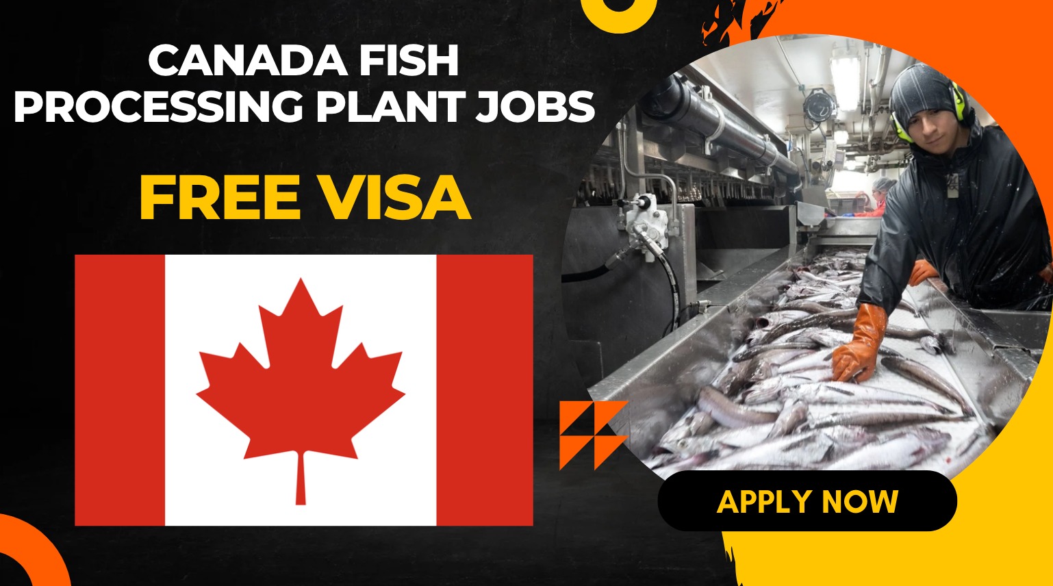 Canada Fish Processing Plant Jobs with LMIA 2026