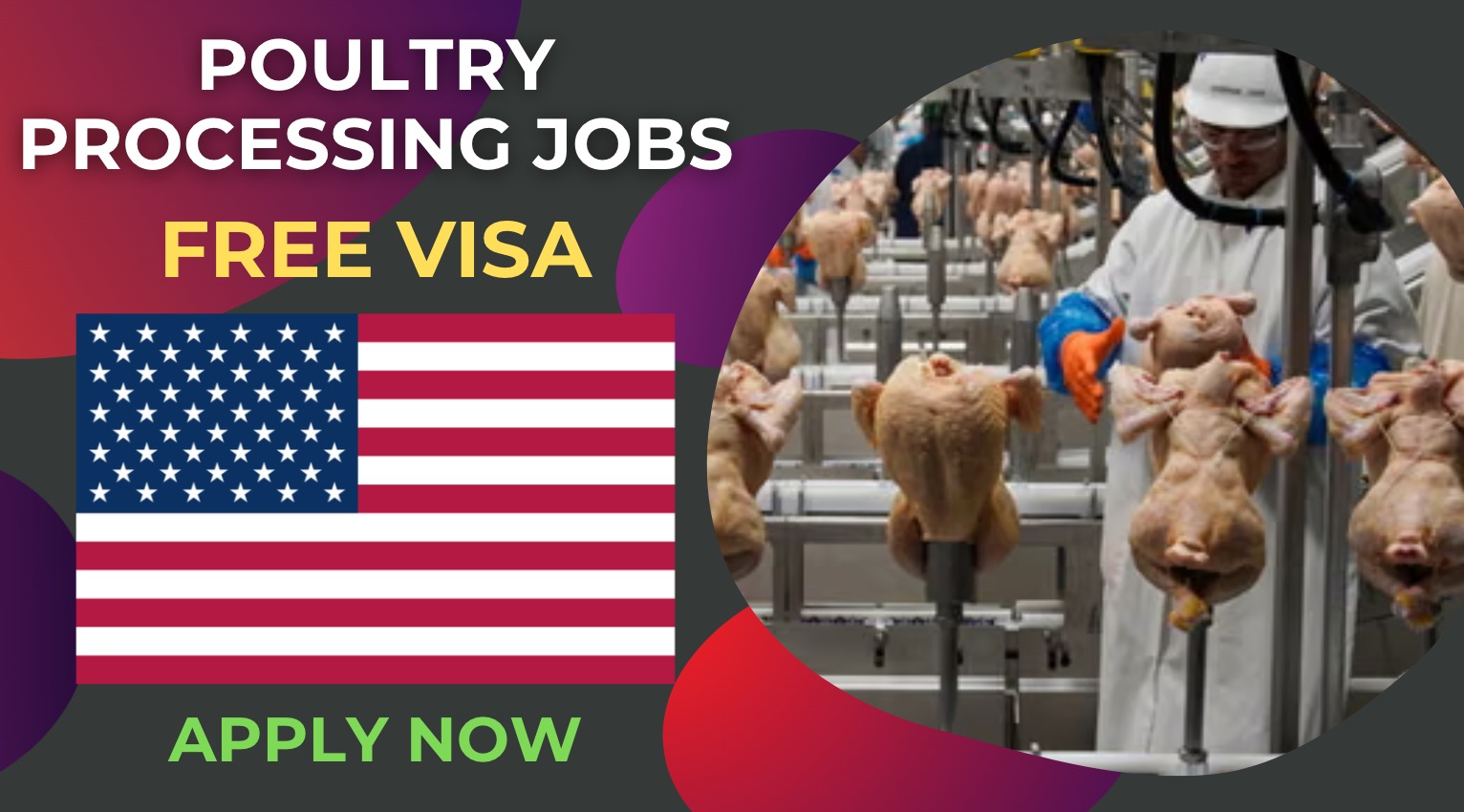 Poultry Processing Jobs in the USA for Overseas Workers Poultry Processing Jobs in the USA for Overseas Workers